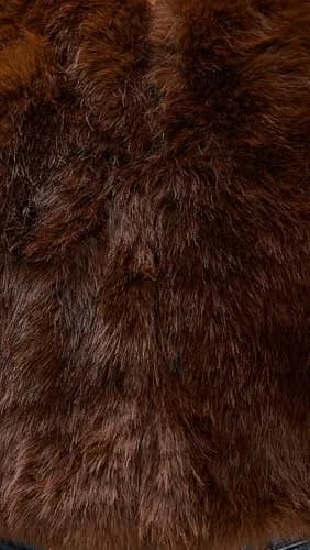 [BLANKNYC] Women's Gala Affair Faux Fur Jacket, Brown, S | Faux Fur Coat for Women, Fall Style thumbnail 6