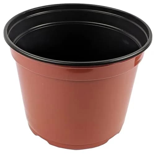 Grower Select® Coex 9-inch Mum Pan with 1.2gal Capacity, Terra Cotta Color | Cost-Effective Greenhouse Pot (70-120 chars) thumbnail 1