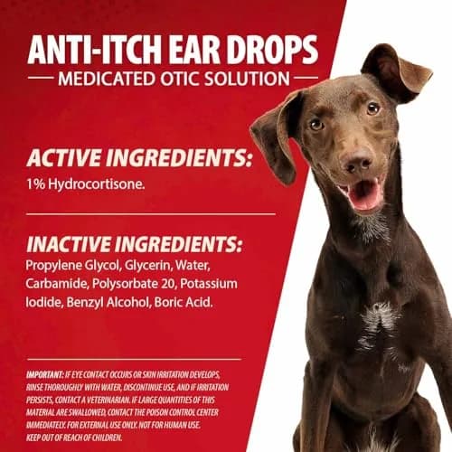 Jeffers Anti-Itch Ear Drops for Dogs & Cats 2 fl oz | Supports Ear Comfort & Hygiene thumbnail 6