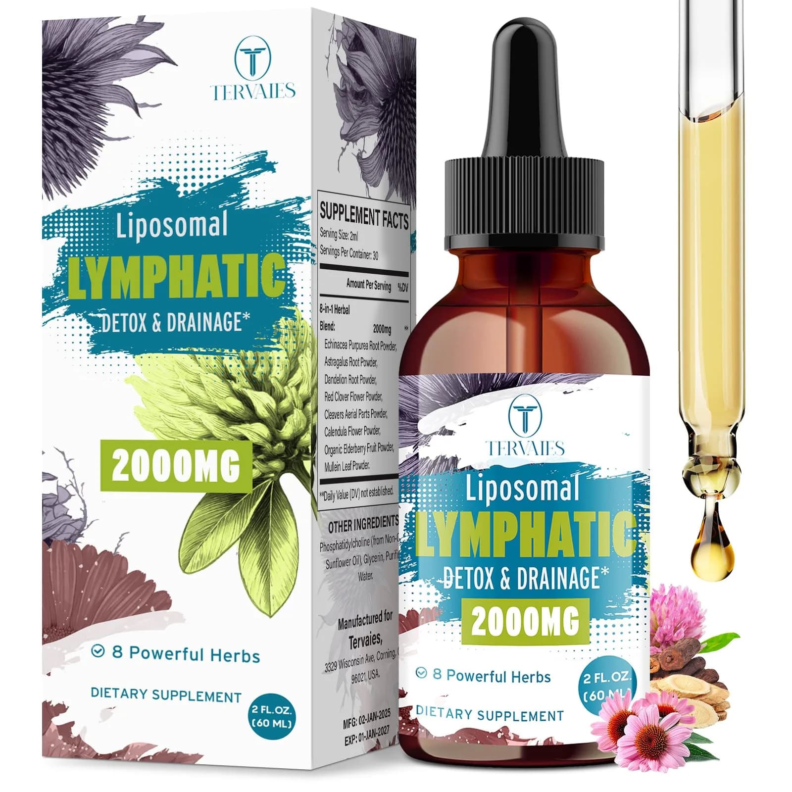 Tervaies Liposomal Lymphatic Detox & Drainage Drops – 2000mg Herbal Blend with Elderberry & Echinacea | Supports Lymphatic Flow & Immunity (110c) — 2 Fl Oz