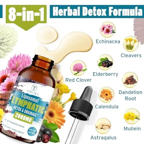 Tervaies Liposomal Lymphatic Detox & Drainage Drops – 2000mg Herbal Blend with Elderberry & Echinacea | Supports Lymphatic Flow & Immunity (110c) thumbnail 4
