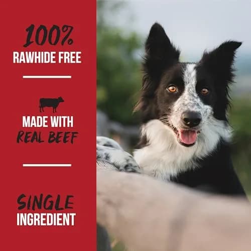 Grillerz Thick Bully Sticks 2 Count | Rawhide-Free Beef Chews for Dogs thumbnail 5