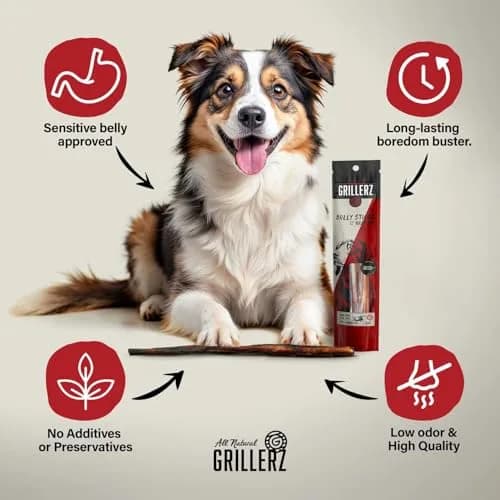 Grillerz Thick Bully Sticks 2 Count | Rawhide-Free Beef Chews for Dogs thumbnail 2