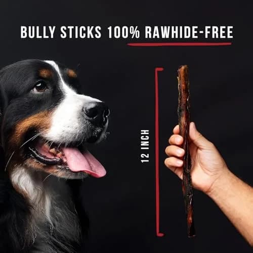 Grillerz Thick Bully Sticks 2 Count | Rawhide-Free Beef Chews for Dogs thumbnail 3