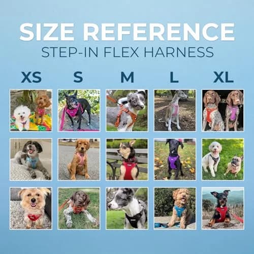 Voyager Step-in Flex Adjustable Dog Harness - Lavender, Small | Breathable Air Mesh, 3M Reflective, No-Pull Design thumbnail 6