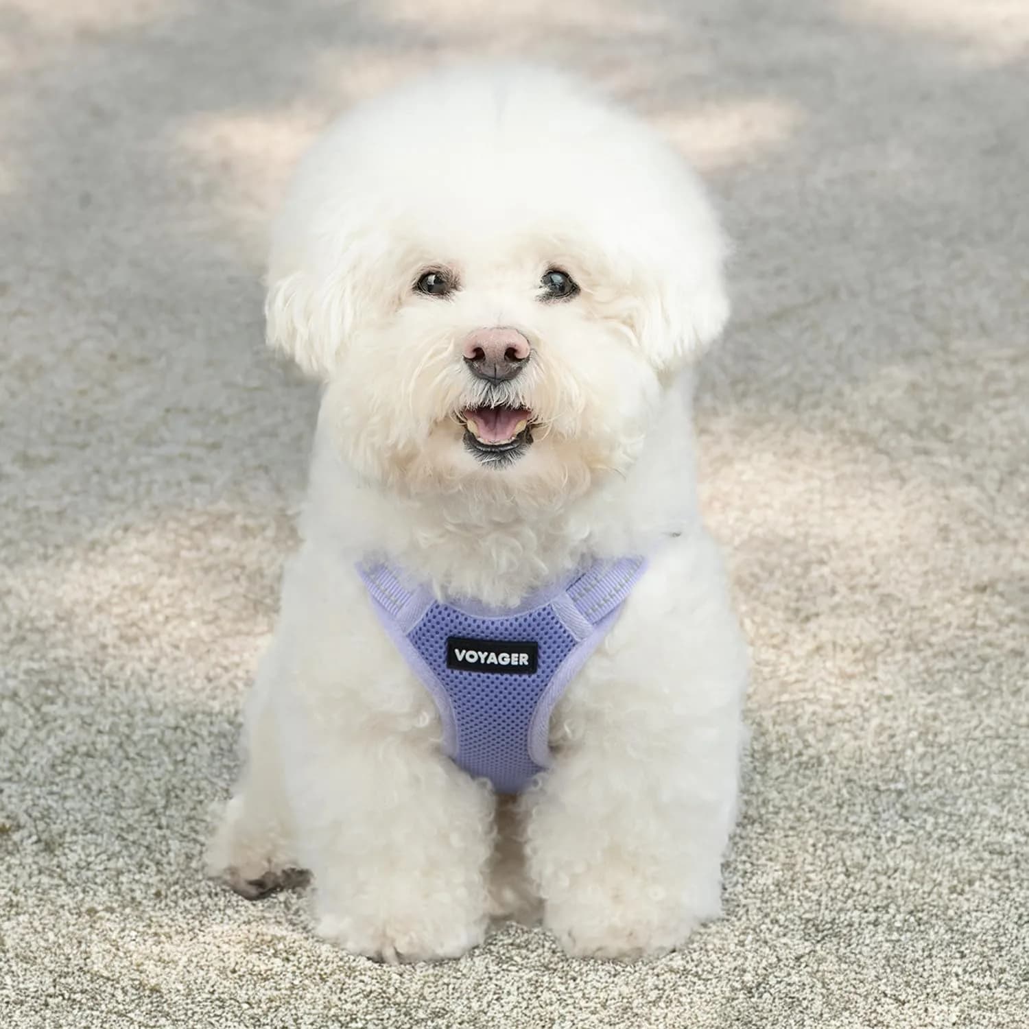 Voyager Step-in Flex Adjustable Dog Harness - Lavender, Small | Breathable Air Mesh, 3M Reflective, No-Pull Design - view 7
