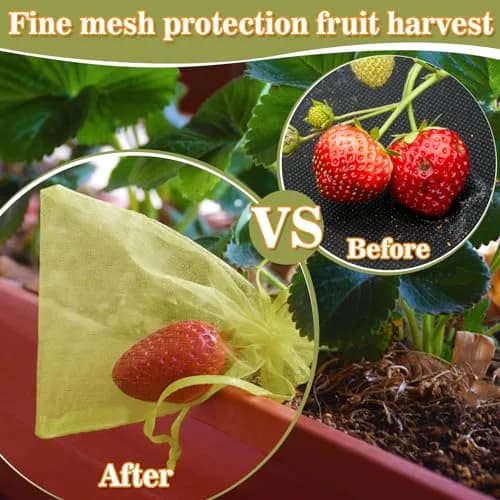 Sukh 100PCS Fruit Protection Bags 6"x8" | Mesh Organza Fruit Nets for Tree & Vegetables thumbnail 5