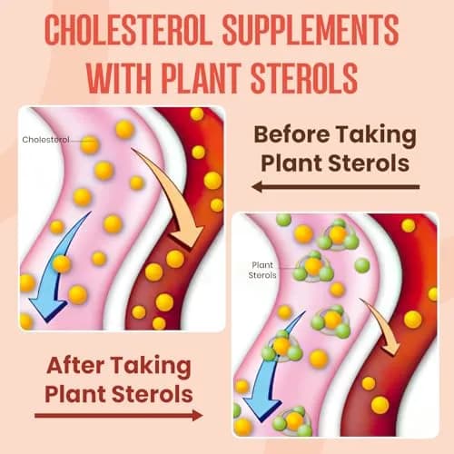 Glorithiventa Cholesterol Supplement Gummies 60 Count | Plant Sterols & Stanols, Red Yeast Rice, Bergamot Extract, Guggul, Mixed Berry Flavor thumbnail 4