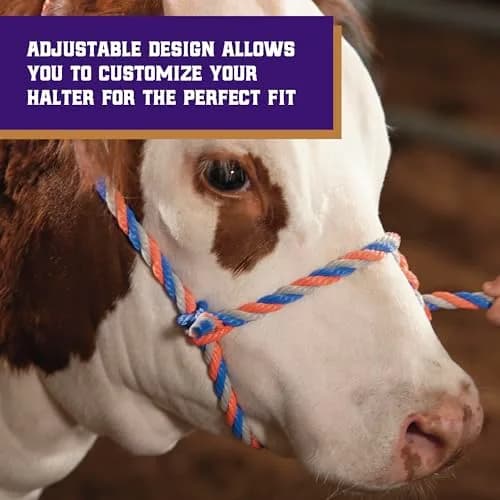 Weaver Livestock Braided Poly Rope Cattle Halter, Adjustable, Modern Style Cow Calf Halter, Livestock Handling Equipment for Showing, Blue/Coral/Gray (Pack of 2) thumbnail 4