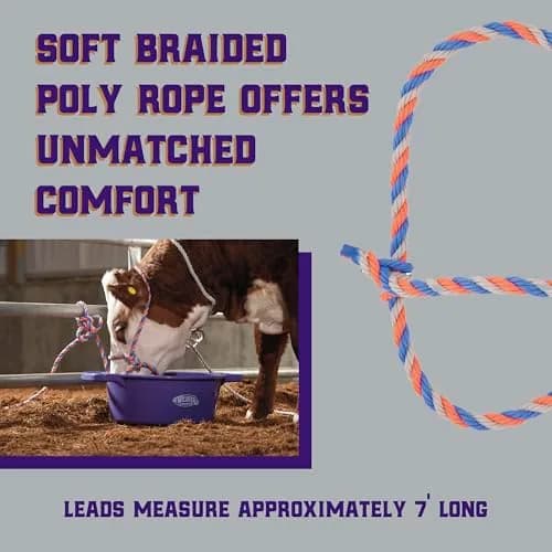 Weaver Livestock Braided Poly Rope Cattle Halter, Adjustable, Modern Style Cow Calf Halter, Livestock Handling Equipment for Showing, Blue/Coral/Gray (Pack of 2) thumbnail 3