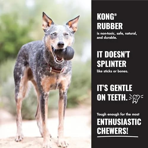 KONG Extreme Goodie Bone Natural Rubber Dog Toy for Extra Large Dogs | Power Chewers, Treat Stuffing, USA-Sourced thumbnail 5