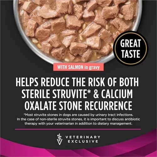 Pro Plan Veterinary Diets Purina UR Savory Selects Wet Dog Food 13.3oz (12) | Supports Urinary Health thumbnail 2