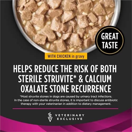 Pro Plan Veterinary Diets UR Savory Selects Wet Dog Food 13.3oz | Supports Urinary Health & Dissolves Stones thumbnail 2