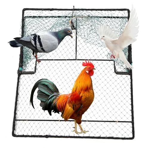 WillMesh Humane Pigeon Trap, Bird Trap for Quail, Turkey 50cm x 60cm | Live Catch & Easy Release thumbnail 1