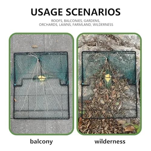 WillMesh Humane Pigeon Trap, Bird Trap for Quail, Turkey 50cm x 60cm | Live Catch & Easy Release thumbnail 5