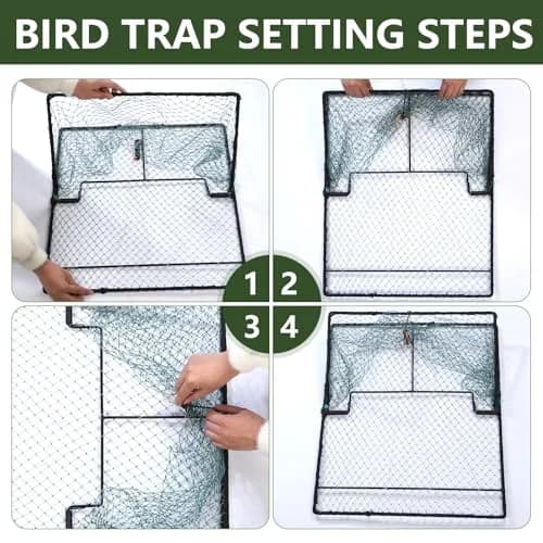 WillMesh Humane Pigeon Trap, Bird Trap for Quail, Turkey 50cm x 60cm | Live Catch & Easy Release thumbnail 6