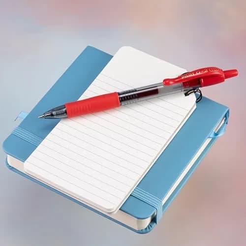 PILOT G2 Premium Retractable Gel Pens, Bold Point, Red Ink, 1.0mm Line, 12 Count (Pack of 12) | Longest-Lasting Gel Ink Pen thumbnail 7