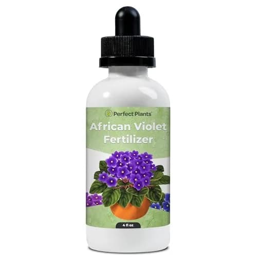 Perfect Plants African Violet Fertilizer, 4 oz, Liquid Bloom Food Drops | Gentle 2-2-2 NPK for Vibrant Blooms thumbnail 1