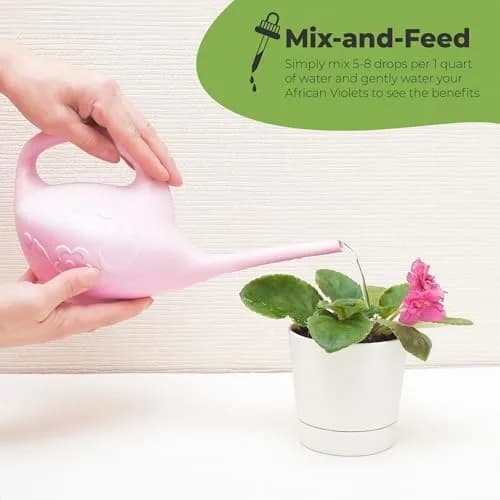 Perfect Plants African Violet Fertilizer, 4 oz, Liquid Bloom Food Drops | Gentle 2-2-2 NPK for Vibrant Blooms thumbnail 3