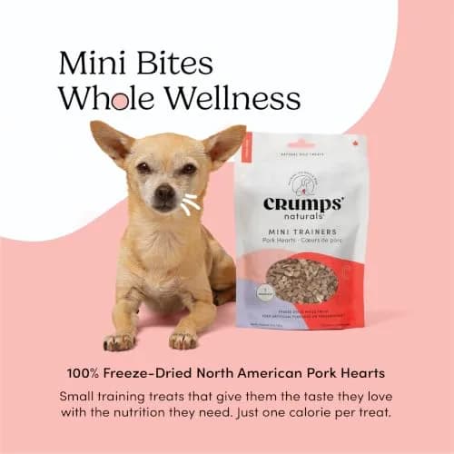 Crumps’ Naturals Mini Trainers Freeze Dried Pork Hearts 4.06oz | Protein Training Treats for Dogs thumbnail 2