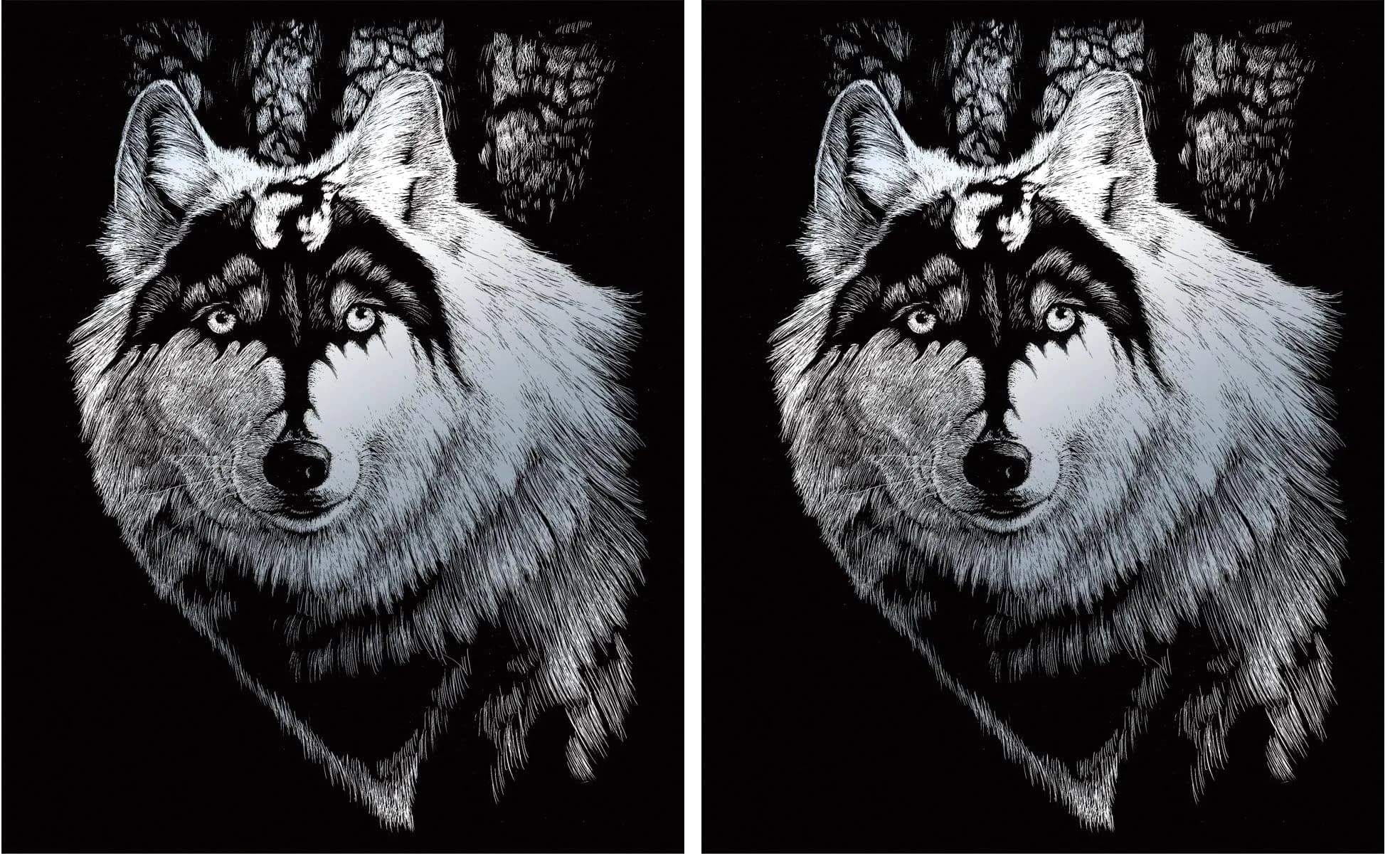 Royal Brush Silver Foil Engraving Art Kit 20.3 x 25.4 cm (8 x 10 Inch) Dragon Wolf | Foil Art Kit for Adults & Kids - main product image