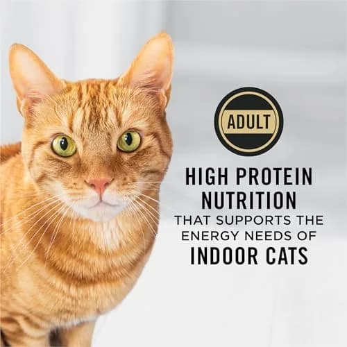 Purina Pro Plan Adult Indoor High Protein Cat Food 7 lb | Supports Lean Muscle & Weight thumbnail 3