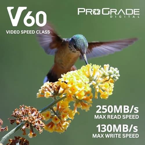 ProGrade Digital Gold SDXC UHS-II V60 Memory Card 1TB (1000 GB) | Professional Speed for 4K Video & High-Res Photos thumbnail 6