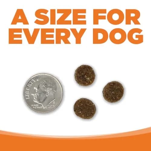 NutriSource Choice Turkey & Barley Dog Food 40lb | Probiotics & Wholesome Nutrition thumbnail 4