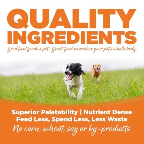 NutriSource Choice Turkey & Barley Dog Food 40lb | Probiotics & Wholesome Nutrition thumbnail 3