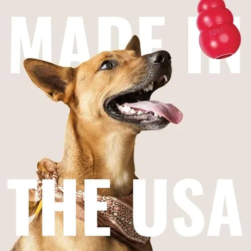 KONG Flyer Small Dog Flying Disc | Durable Natural Rubber Fetch Toy (Pack of 2) thumbnail 5