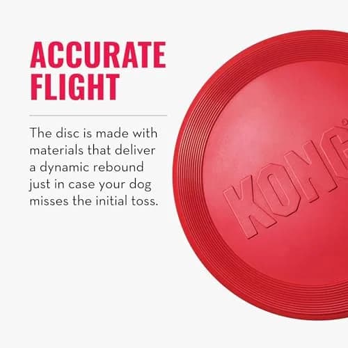 KONG Flyer Small Dog Flying Disc | Durable Natural Rubber Fetch Toy (Pack of 2) thumbnail 6