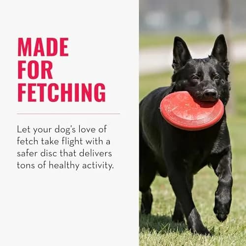 KONG Flyer Small Dog Flying Disc | Durable Natural Rubber Fetch Toy (Pack of 2) thumbnail 2