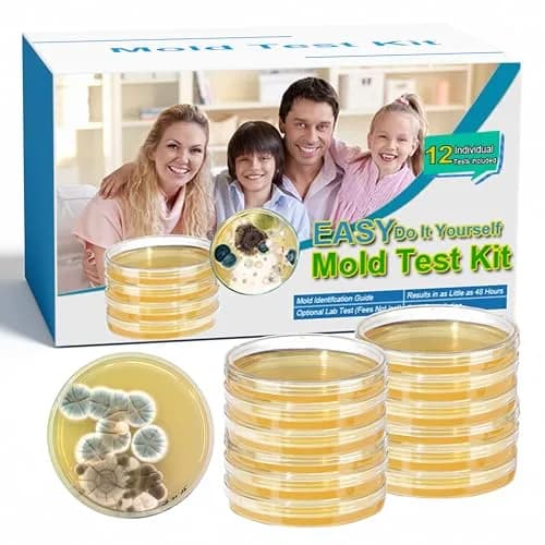 Generic Mold Test Kit for Home | Detect Indoor Mold & Air Quality, 12 Pack, Easy DIY Testing thumbnail 1