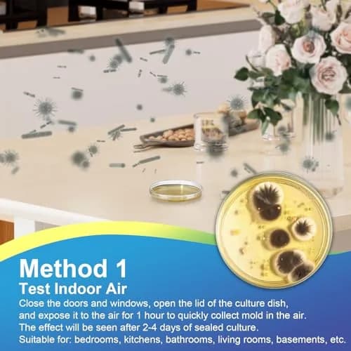 Generic Mold Test Kit for Home | Detect Indoor Mold & Air Quality, 12 Pack, Easy DIY Testing thumbnail 4