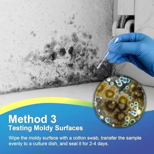 Generic Mold Test Kit for Home | Detect Indoor Mold & Air Quality, 12 Pack, Easy DIY Testing thumbnail 6