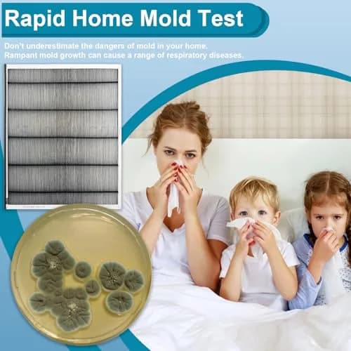 Generic Mold Test Kit for Home | Detect Indoor Mold & Air Quality, 12 Pack, Easy DIY Testing thumbnail 2