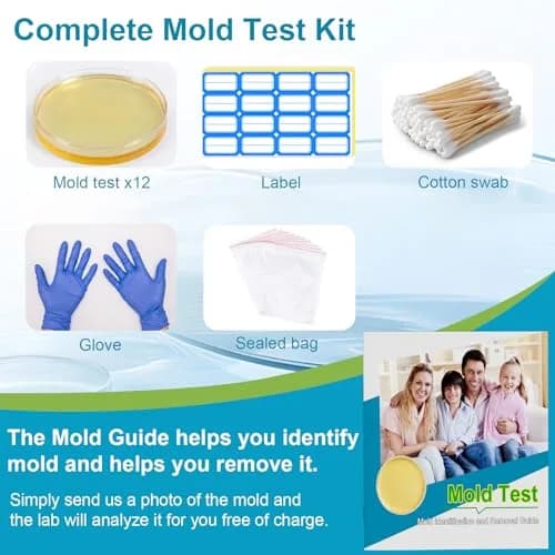 Generic Mold Test Kit for Home | Detect Indoor Mold & Air Quality, 12 Pack, Easy DIY Testing thumbnail 3