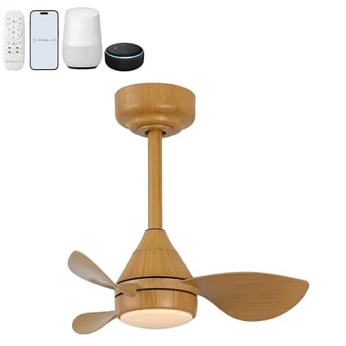 OVAL AIR AIR8000D Albini Ceiling Fan 22" | Minimalist 6-Speed Smart LED Fan for Living Room & Bedroom thumbnail 1