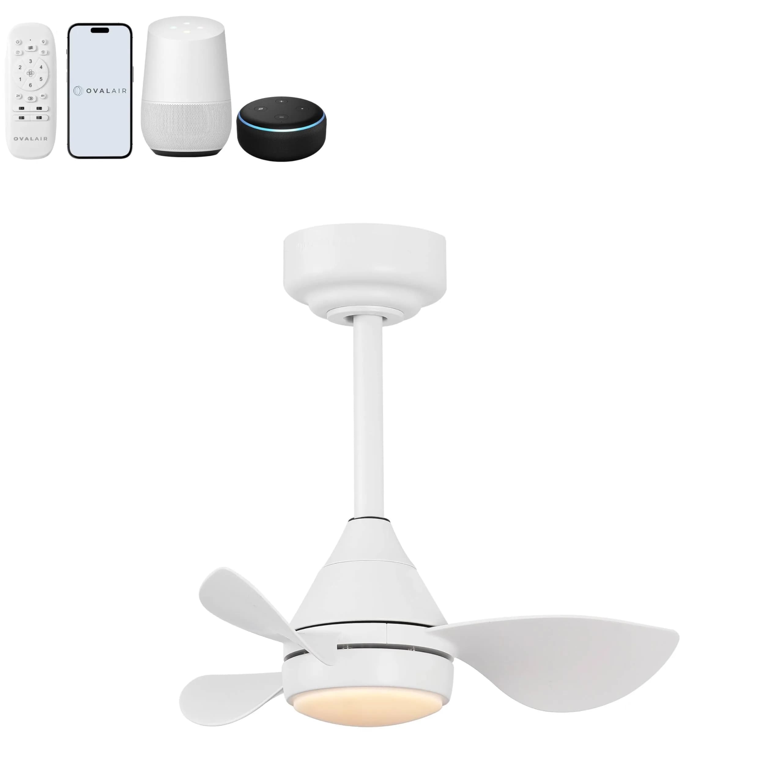 OVAL AIR AIR8000B Albini 22" Contemporary Minimalist Ceiling Fan | 6-Speed Dimmable LED, Remote & App Control — Frost White