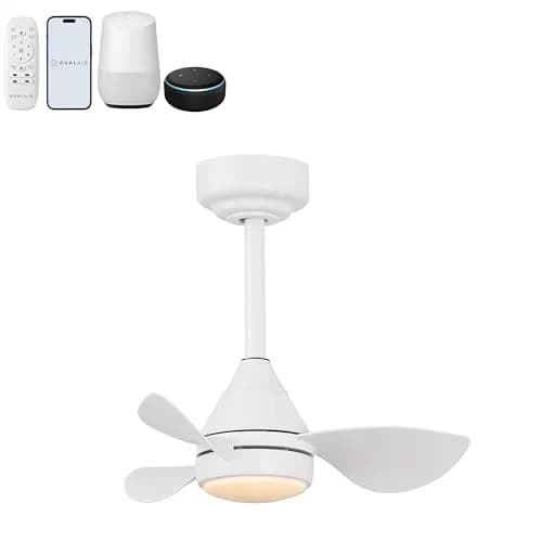 OVAL AIR AIR8000B Albini 22" Contemporary Minimalist Ceiling Fan | 6-Speed Dimmable LED, Remote & App Control thumbnail 1