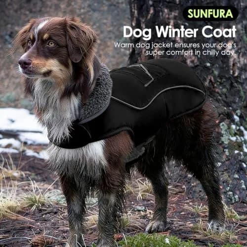 SUNFURA Small Dog Coat, Warm Dog Winter Jacket with Fleece Lined thumbnail 5