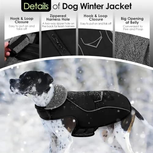 SUNFURA Small Dog Coat, Warm Dog Winter Jacket with Fleece Lined thumbnail 3
