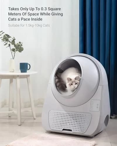 CATLINK Self-Cleaning Litter Box for Cats 3.5–22 lbs | Advanced Safety & Odor Control thumbnail 5
