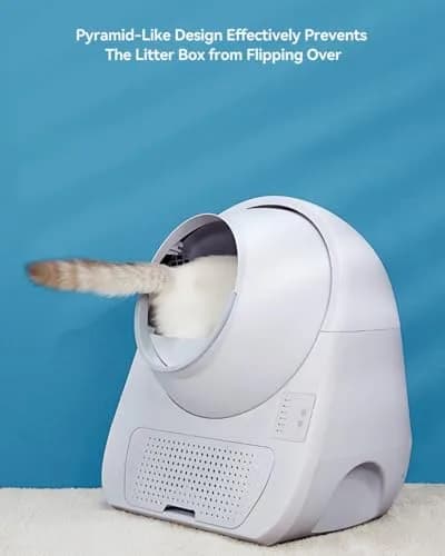 CATLINK Self-Cleaning Litter Box for Cats 3.5–22 lbs | Advanced Safety & Odor Control thumbnail 3