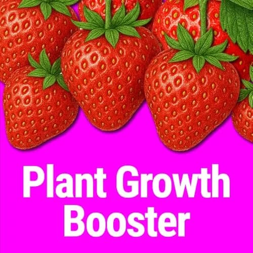 Messinas Seedlingers Super Yield Liquid Plant Food 32 fl oz | Microbial Soil Energizer for Flowers & Vegetables thumbnail 3