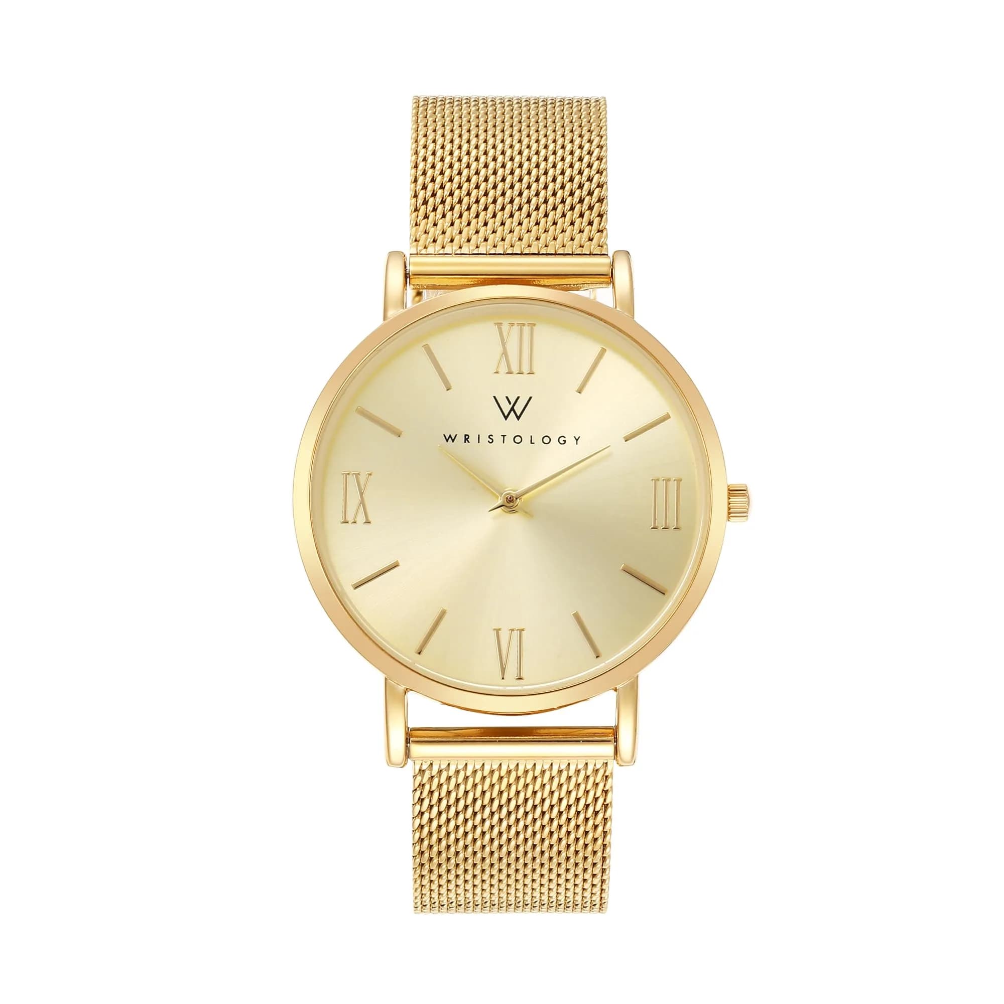 WRISTOLOGY Large face Roman Numerals Women's Watch 38mm | Easy Change Band, Silver — Gold Face Mesh
