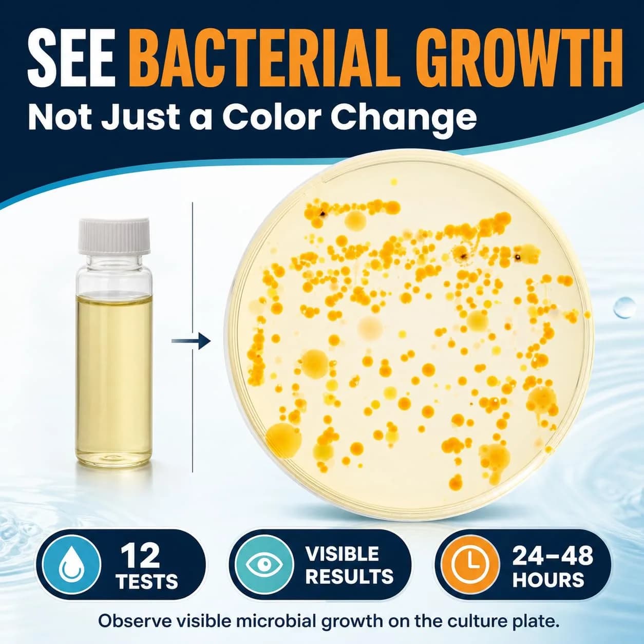 Funhaostar Bacteria Water Test Kit 12-Pack | Accurate Lab Analysis Included - view 3