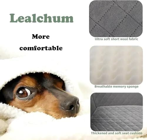 Lealchum Dog Car Seat for Medium/Large Dogs | Washable, Safe & Comfortable thumbnail 3