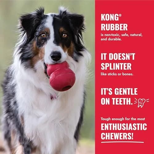 KONG Goodie Bone Natural Rubber Treat Toy for Extra Large Dogs | Durable Chew Toy for Aggressive Chewers thumbnail 5