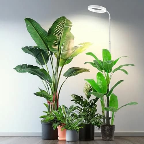 Garpsen Full Spectrum LED Grow Light 80 LEDs 65'' Height | 3 Color Modes 5 Dimmable Levels 16H Timer thumbnail 1